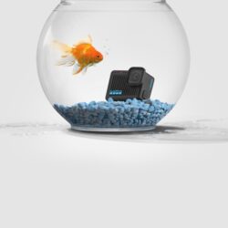 GoPro HERO – Câmera de Ação Compacta - Imagem 4