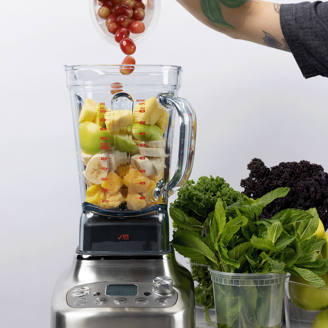 Breville Super Q Pro – Liquidificador - Imagem 2